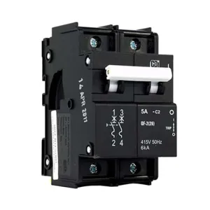 CBi Dual Mount High Rating Circuit Breaker C2 2 Pole 6kA - QF-2(26)