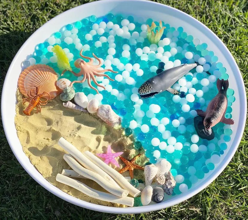 Ocean Sensory Set