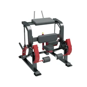 Sterling Series, Standing Leg Curl